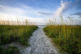 a path leading to the beach with tall grass by Justin Fisher courtesy of Unsplash.