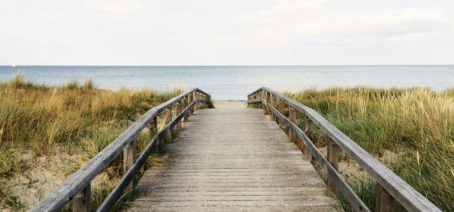 photo of gray wooden bridge by Anton Sharov courtesy of Unsplash.